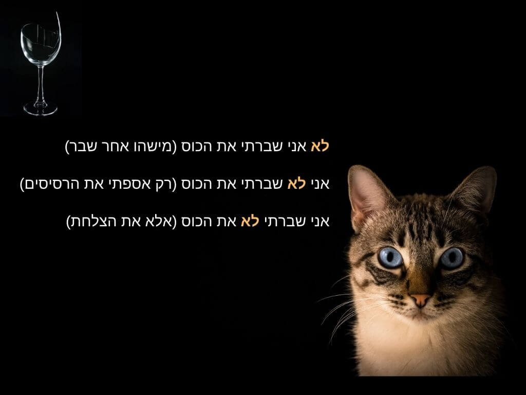 דוגמה לשינוי משמעות בהתאם למיקום "לא" במשפט