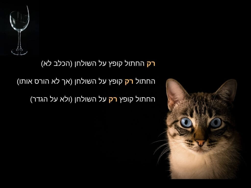 דוגמה לשינוי משמעות בהתאם למיקום "רק" במשפט