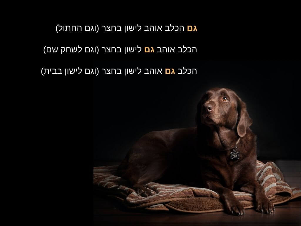 דוגמה לשינוי משמעות בהתאם למיקום "גם" במשפט