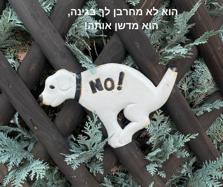 שלט גינה של כלב מחרבן ועליו המילה NO