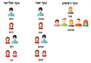 פירוט גופי המספר