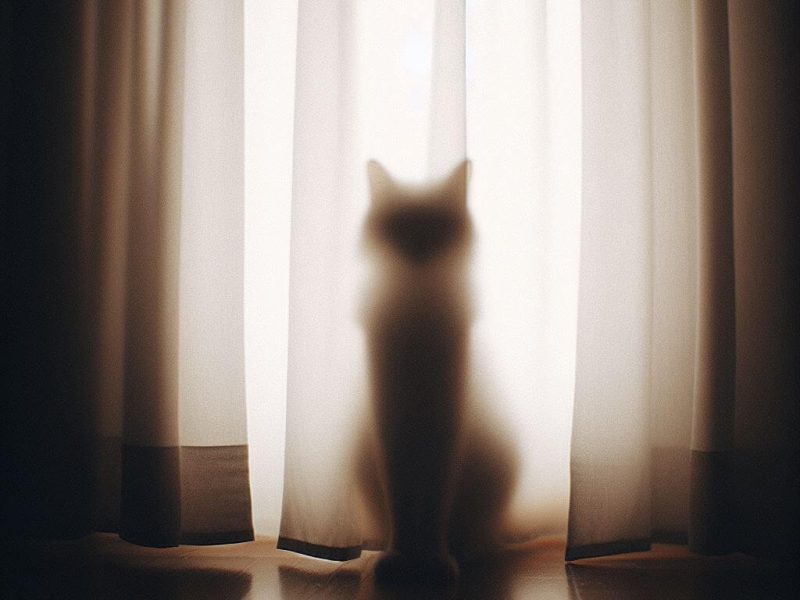 מהם הֶרְמֵזִים וכיצד הם משתלבים בשיח היומיומי ובספרות